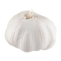 Large White Garlic Bulb